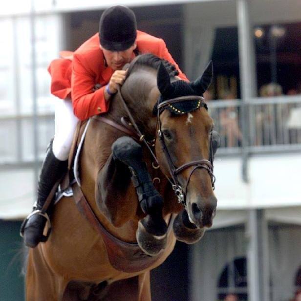 Nabab De Reve - Showjumper